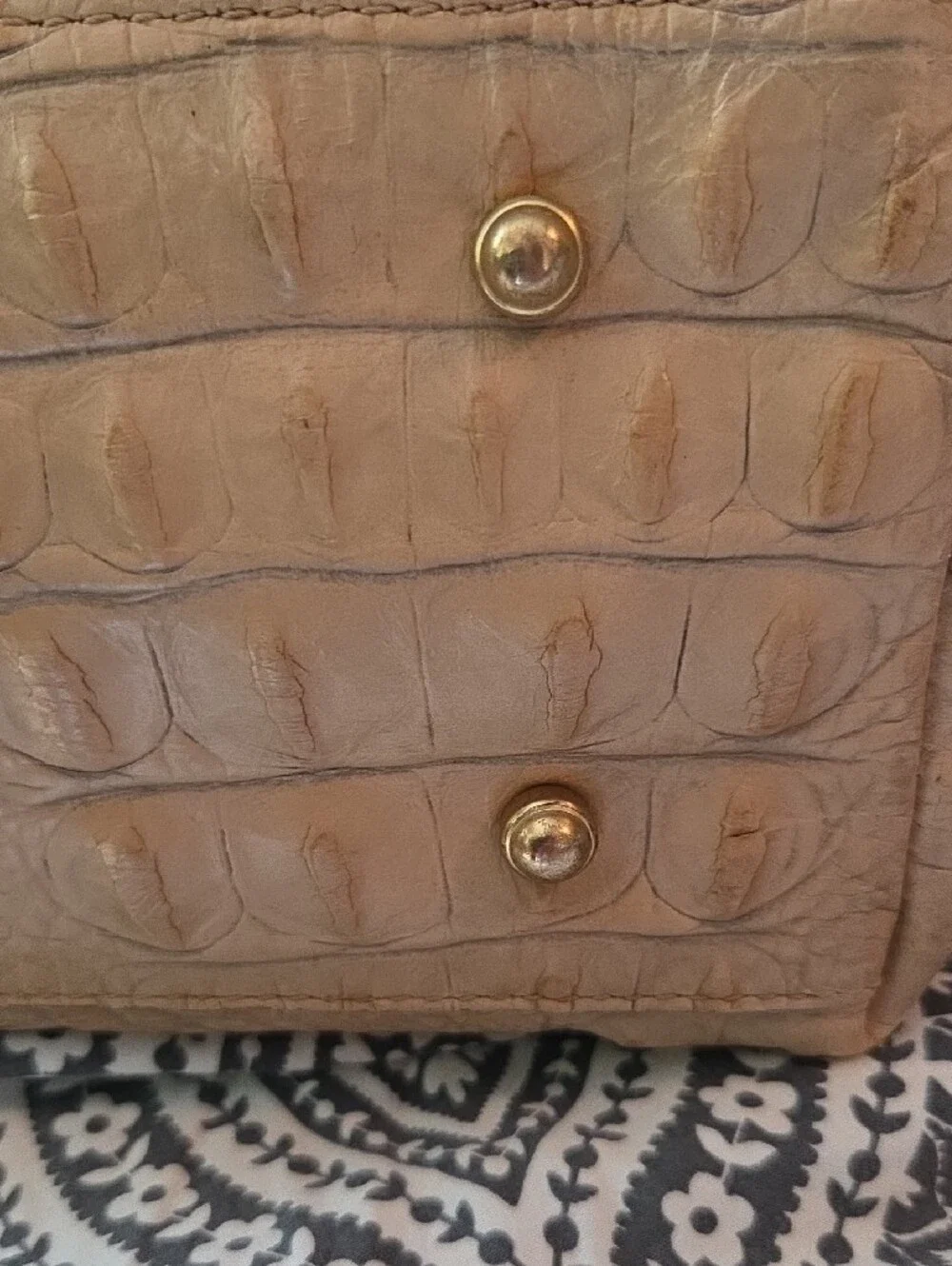 Brahmin medium asher